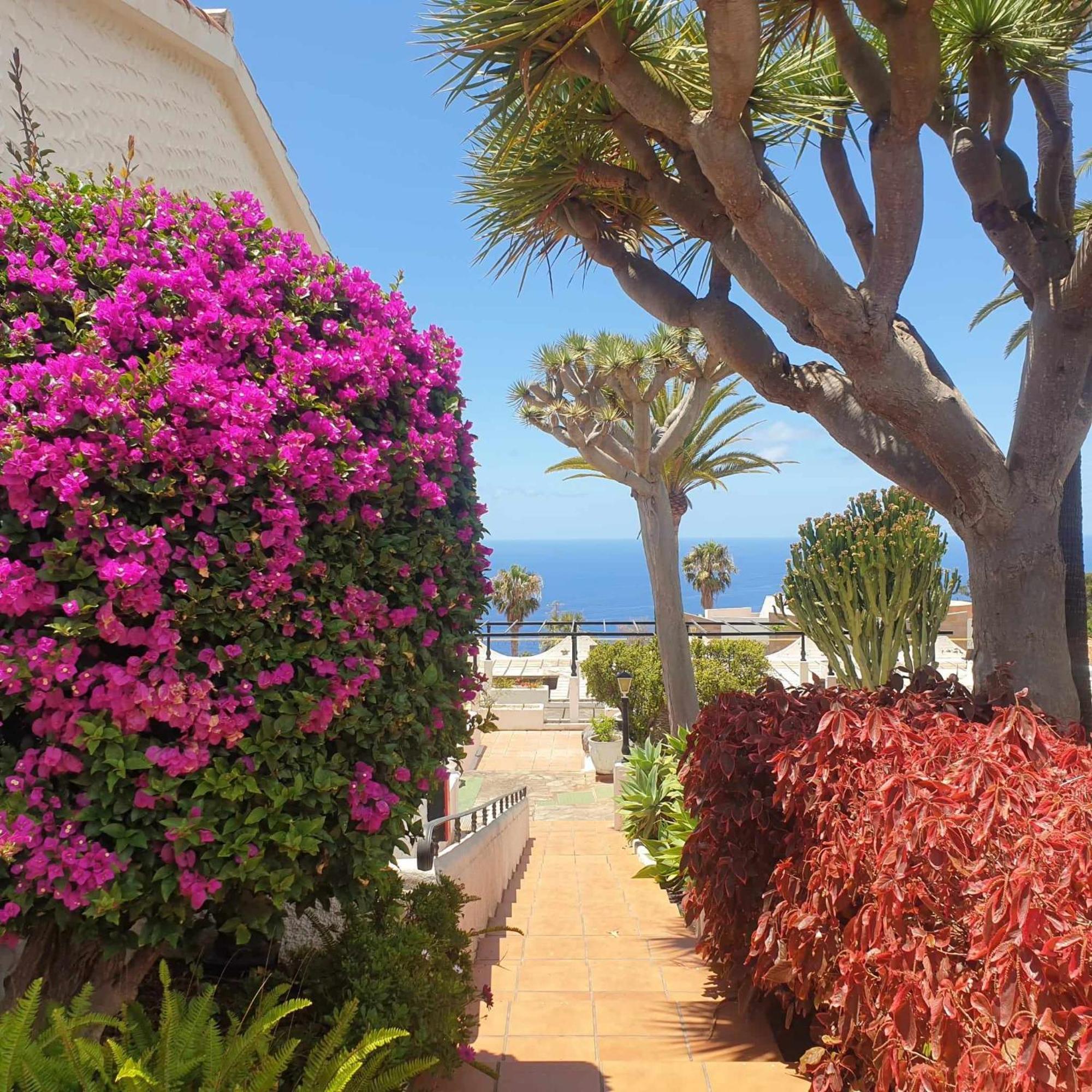 Madre Tierra Apartment Puerto de la Madera Buitenkant foto